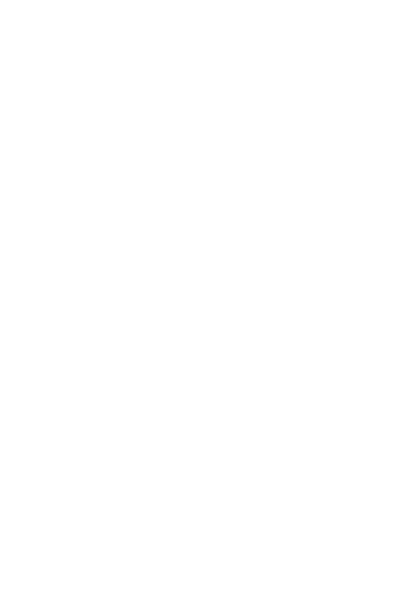 PDF icon