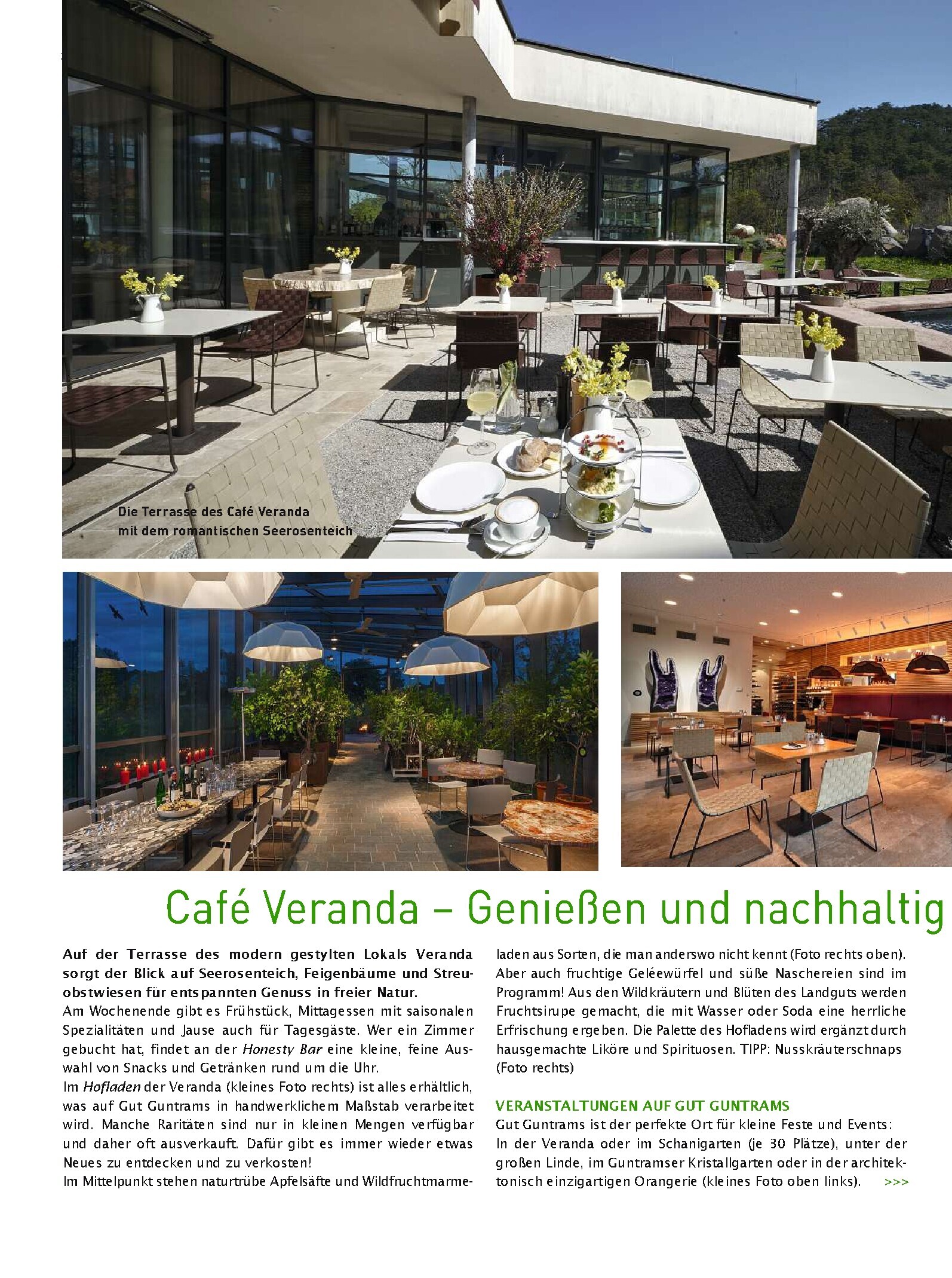 public/epaper/imported/20220326/kurier/freizeit/freizeit_20220326_134.jpg