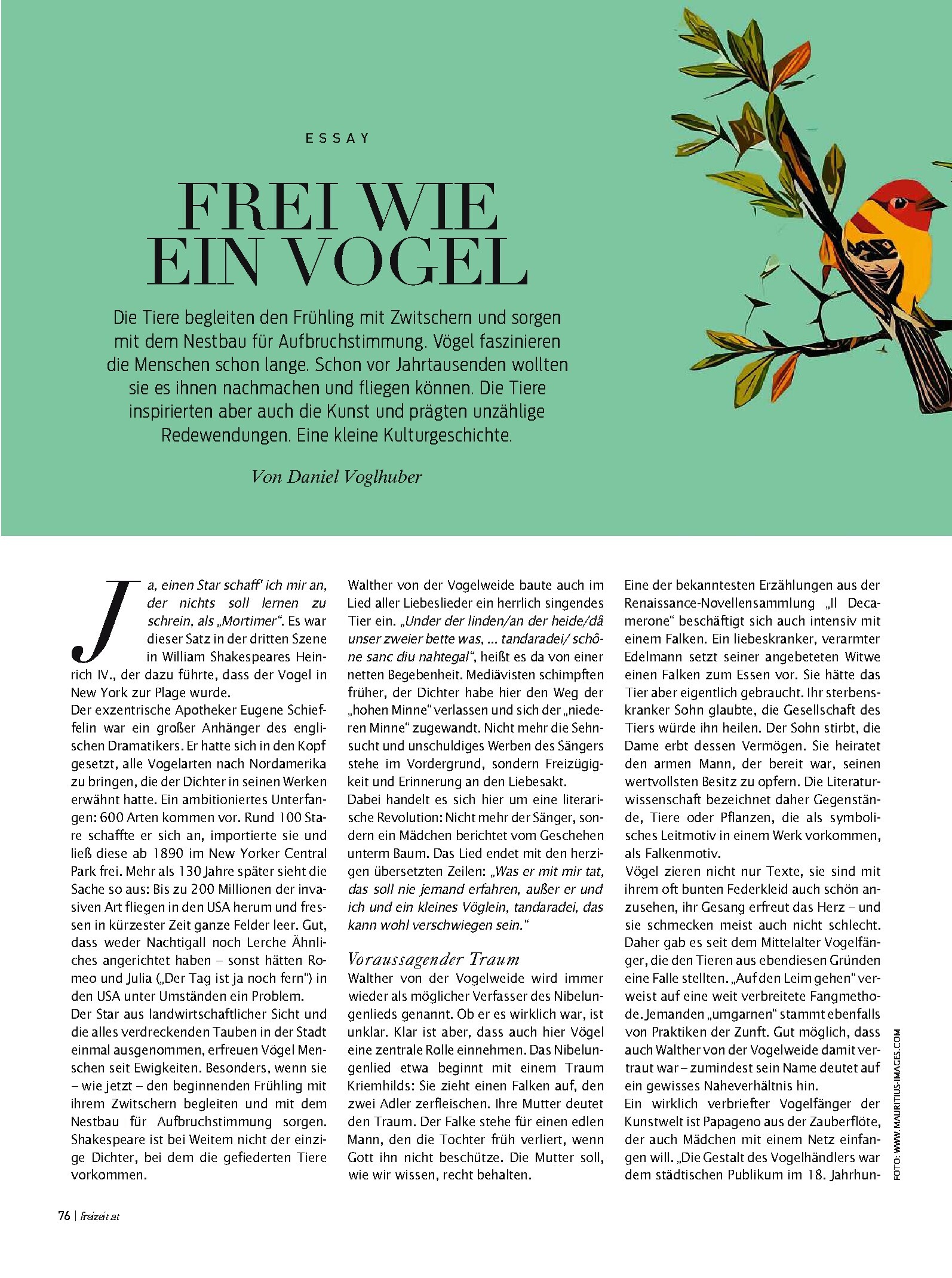 public/epaper/imported/20230318/kurier/freizeit/freizeit_20230318_076.jpg