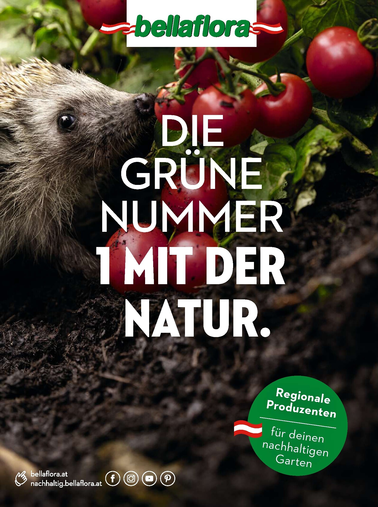public/epaper/imported/20230318/kurier/freizeit/freizeit_20230318_098.jpg