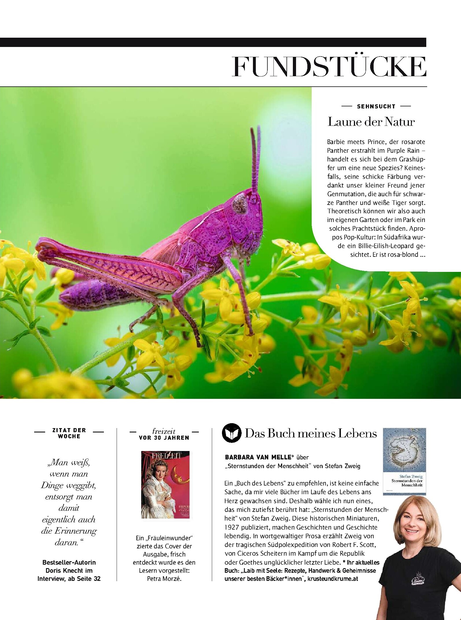 public/epaper/imported/20230909/kurier/freizeit/freizeit_20230909_009.jpg