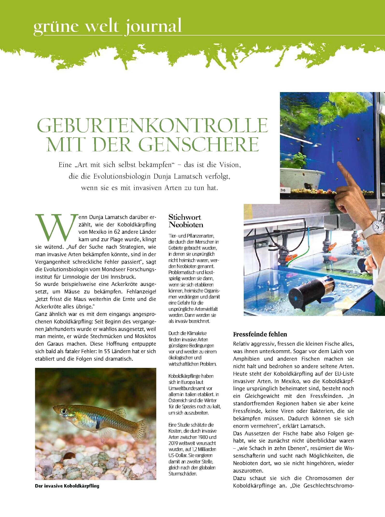 public/epaper/imported/20230909/kurier/freizeit/freizeit_20230909_074.jpg