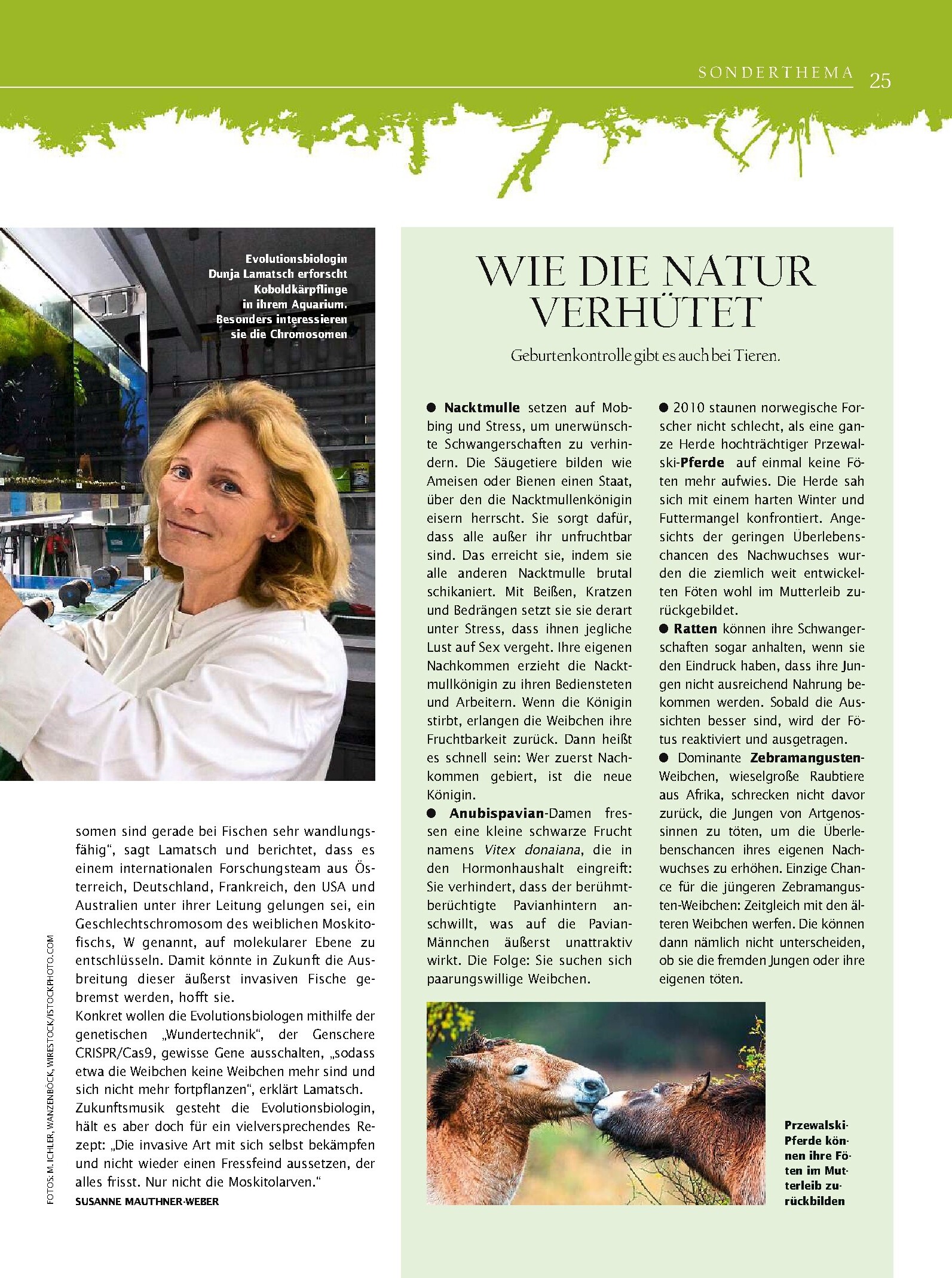 public/epaper/imported/20230909/kurier/freizeit/freizeit_20230909_075.jpg