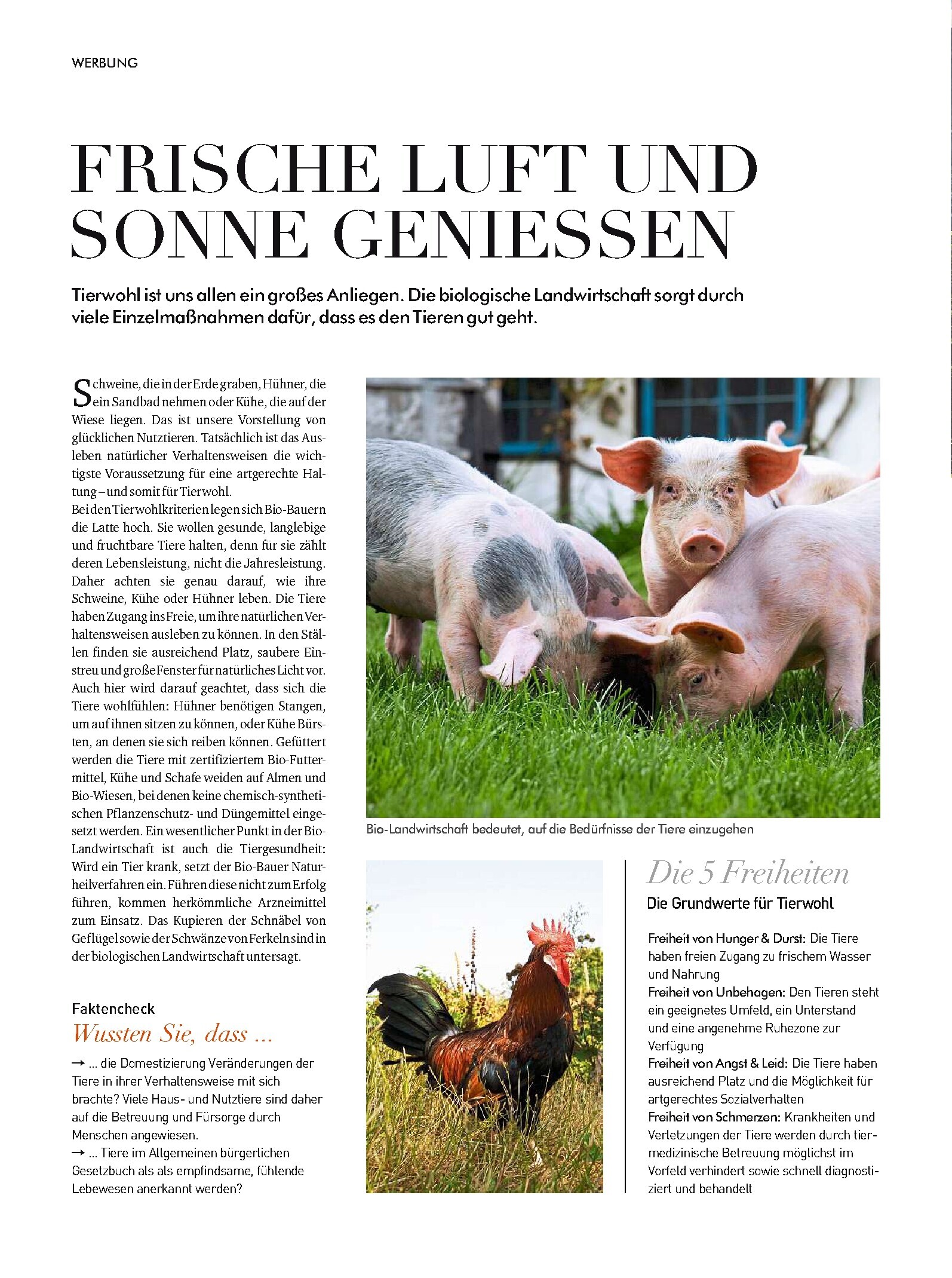 public/epaper/imported/20230916/kurier/freizeit/freizeit_20230916_054.jpg