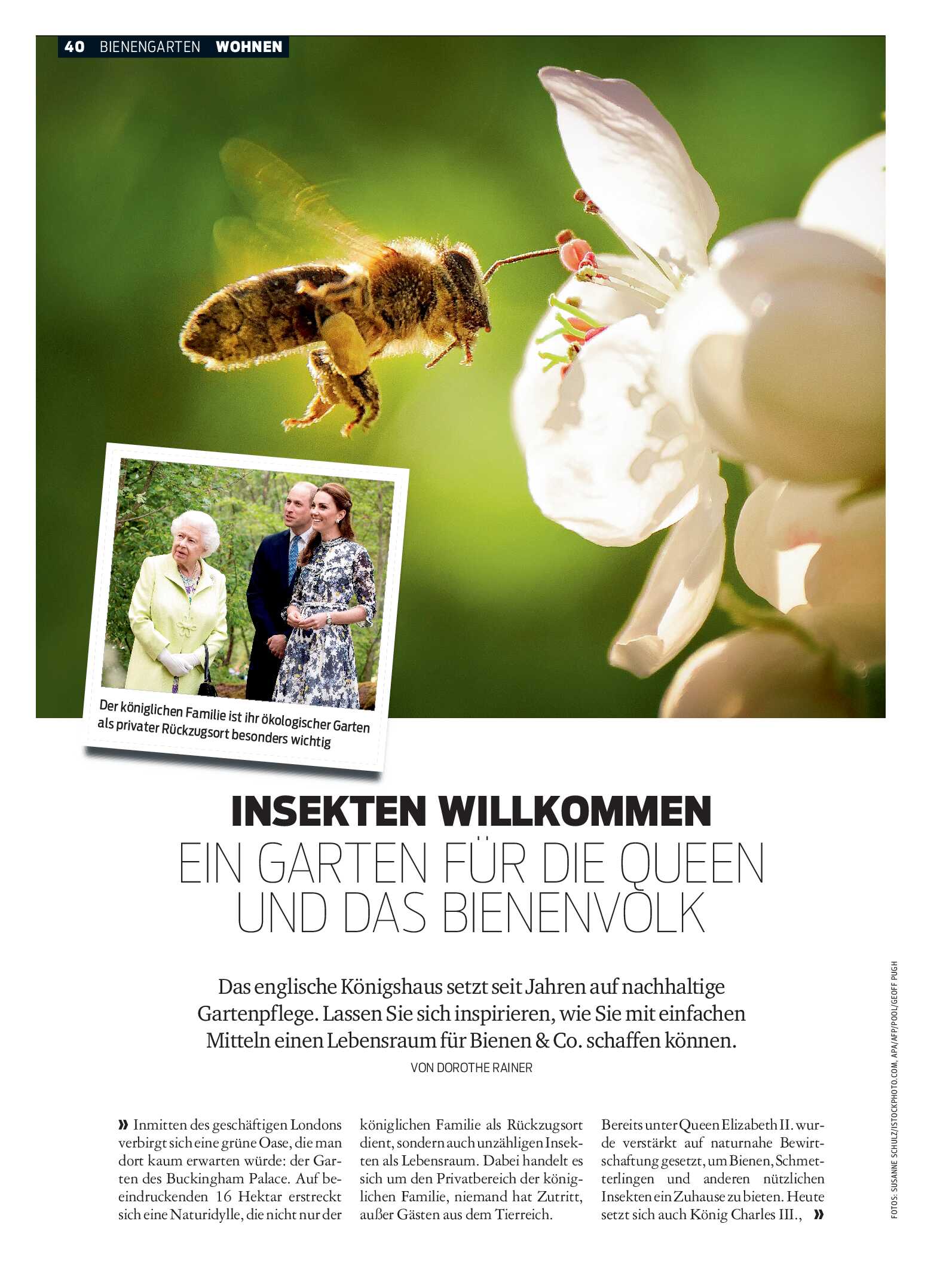 public/epaper/imported/20250312/kurier/magazin/magazin_20250312_040.jpg