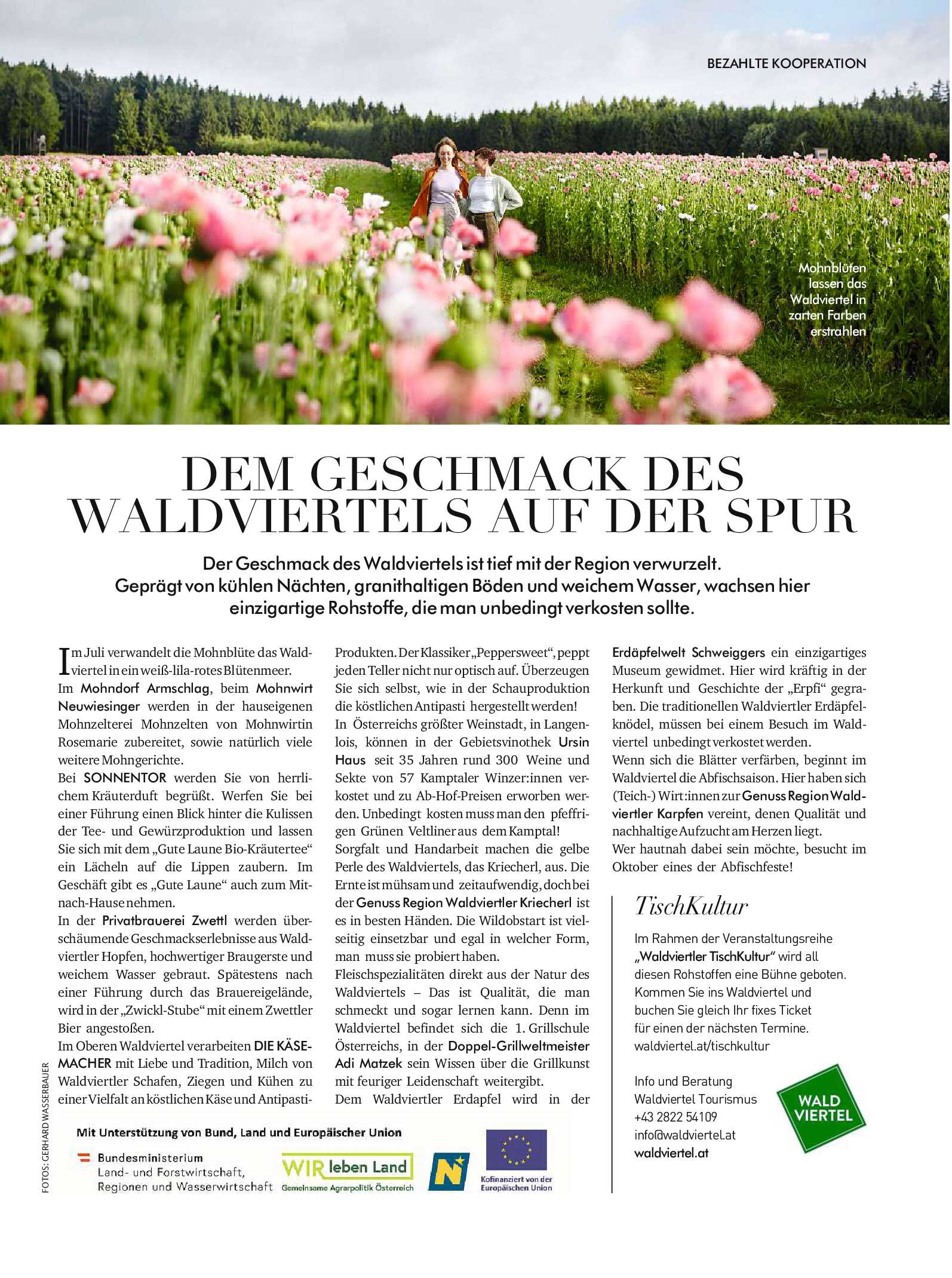 public/epaper/imported/20250329/kurier/freizeit/freizeit_20250329_075.jpg