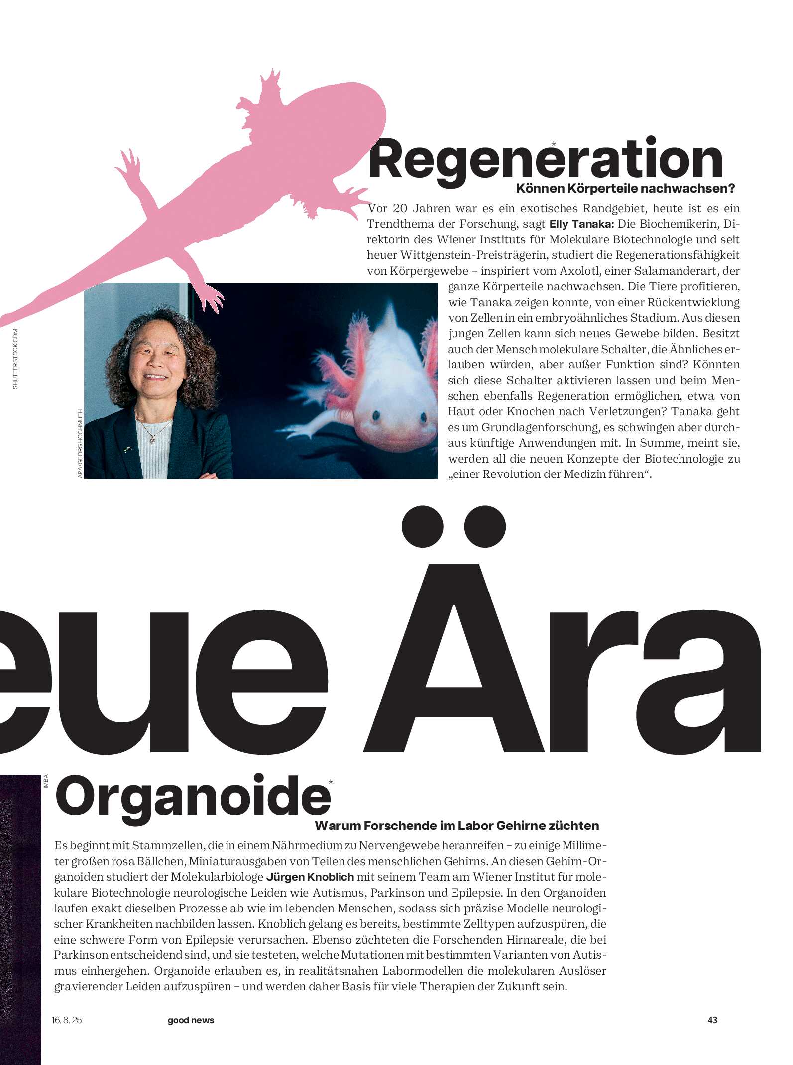 public/epaper/imported/20250816/profil/profil/profil_20250816_043.jpg