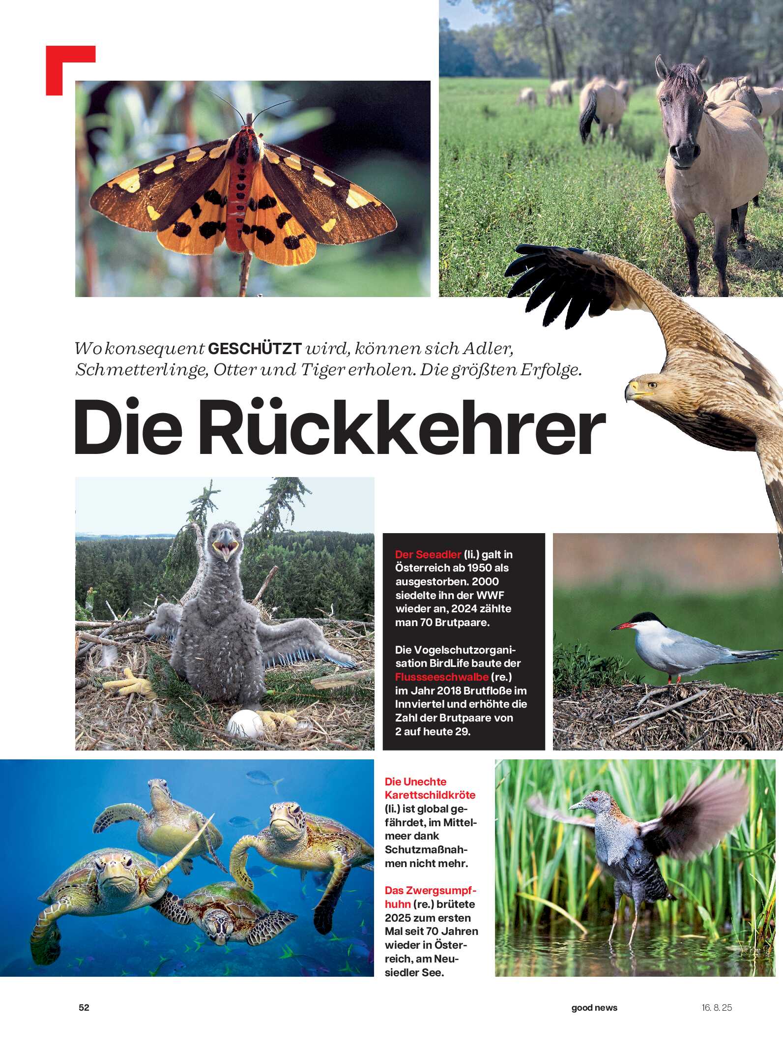 public/epaper/imported/20250816/profil/profil/profil_20250816_052.jpg
