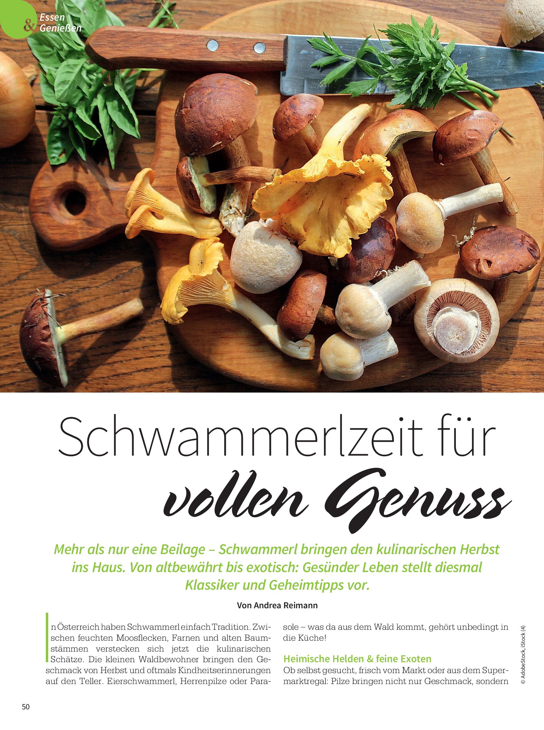 public/epaper/imported/20250905/gesleb/gesleb/gesleb_20250905_050.jpg