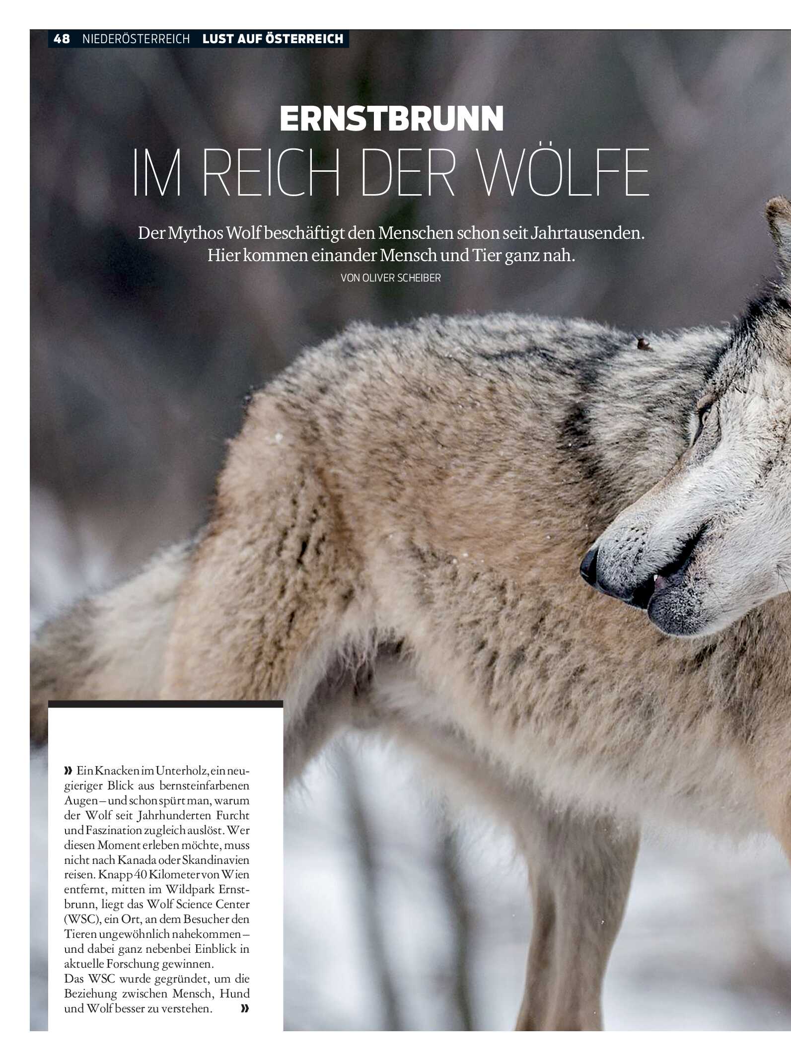 public/epaper/imported/20251105/kurier/magazin/magazin_20251105_048.jpg