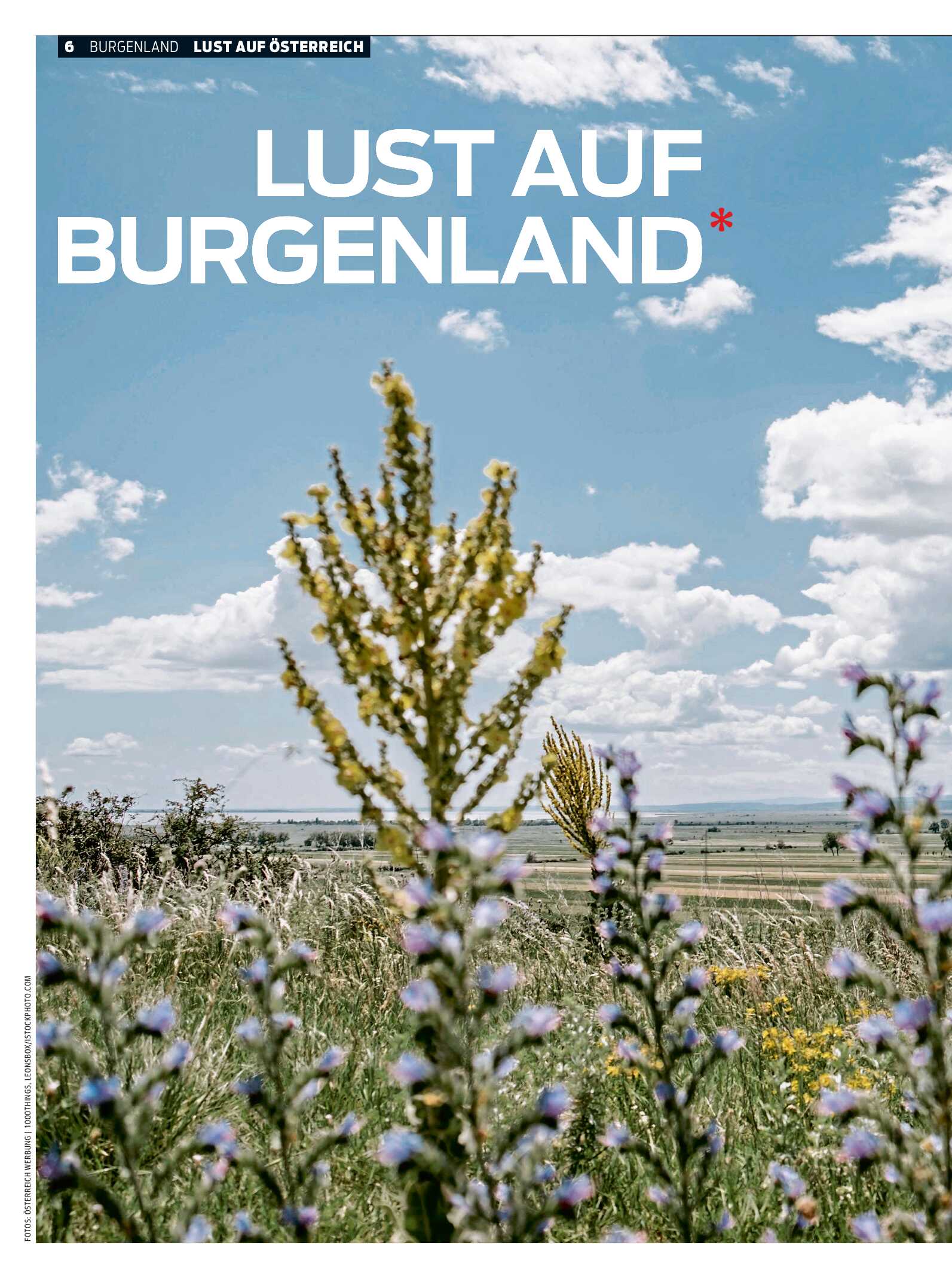 public/epaper/imported/20260513/kurier/magazin/magazin_20260513_006.jpg