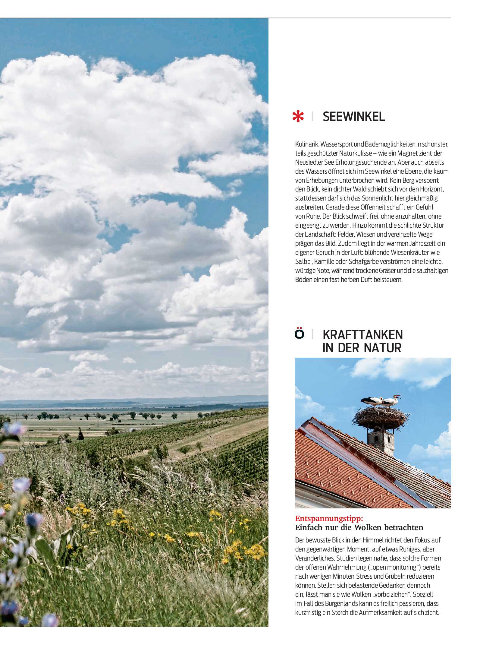public/epaper/imported/20260513/kurier/magazin/magazin_20260513_007.jpg