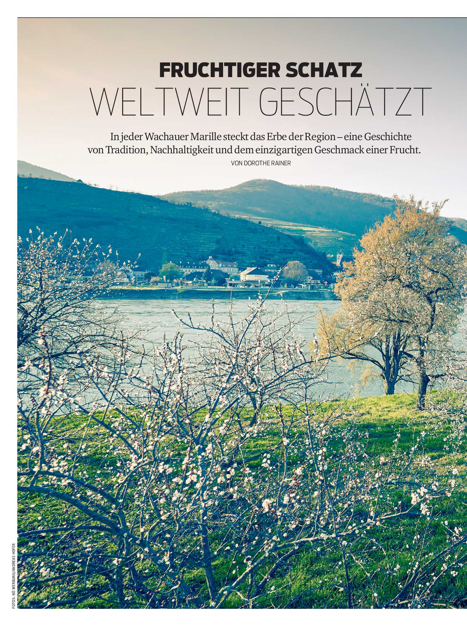 public/epaper/imported/20260513/kurier/magazin/magazin_20260513_036.jpg