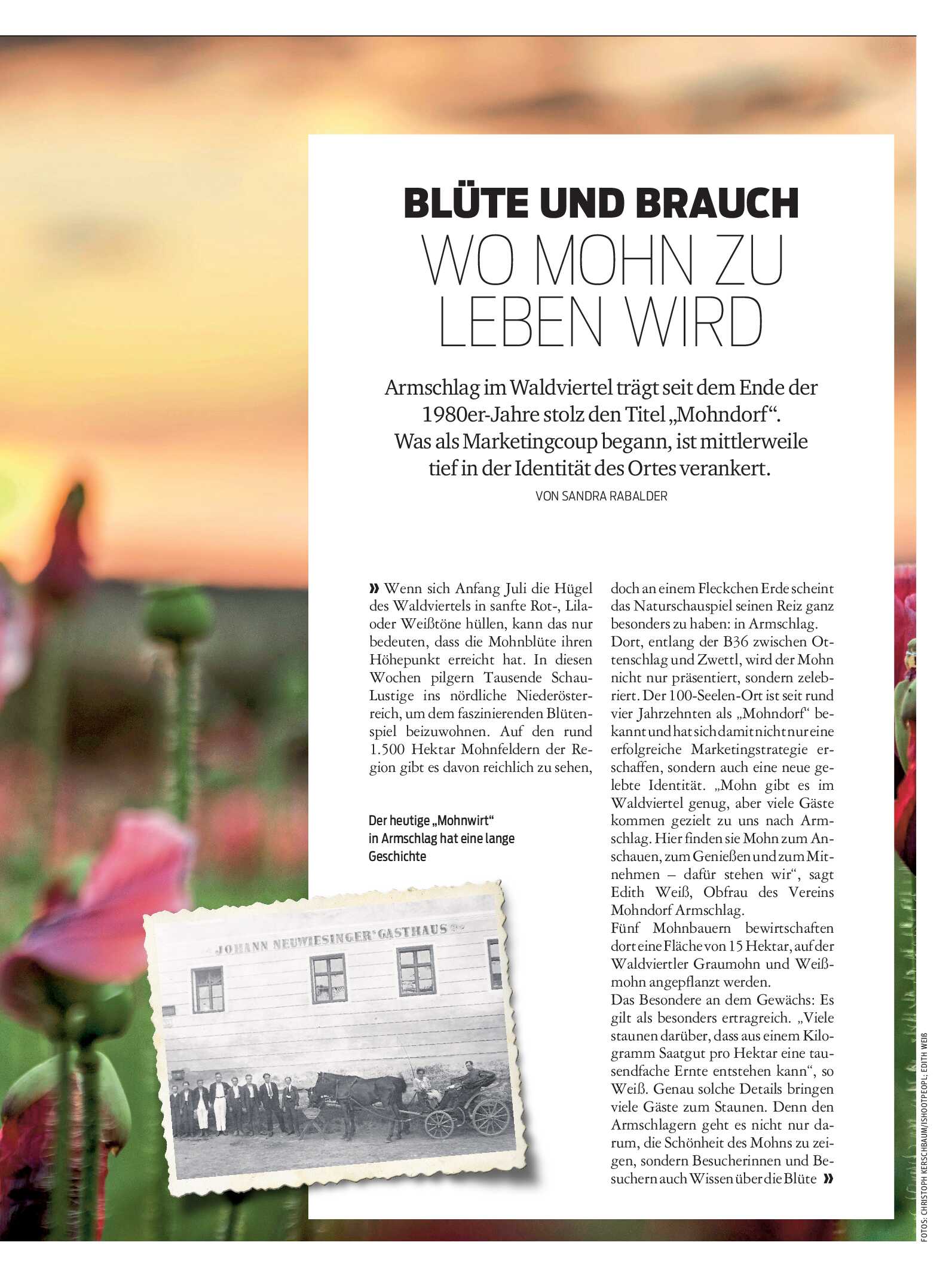 public/epaper/imported/20260513/kurier/magazin/magazin_20260513_041.jpg