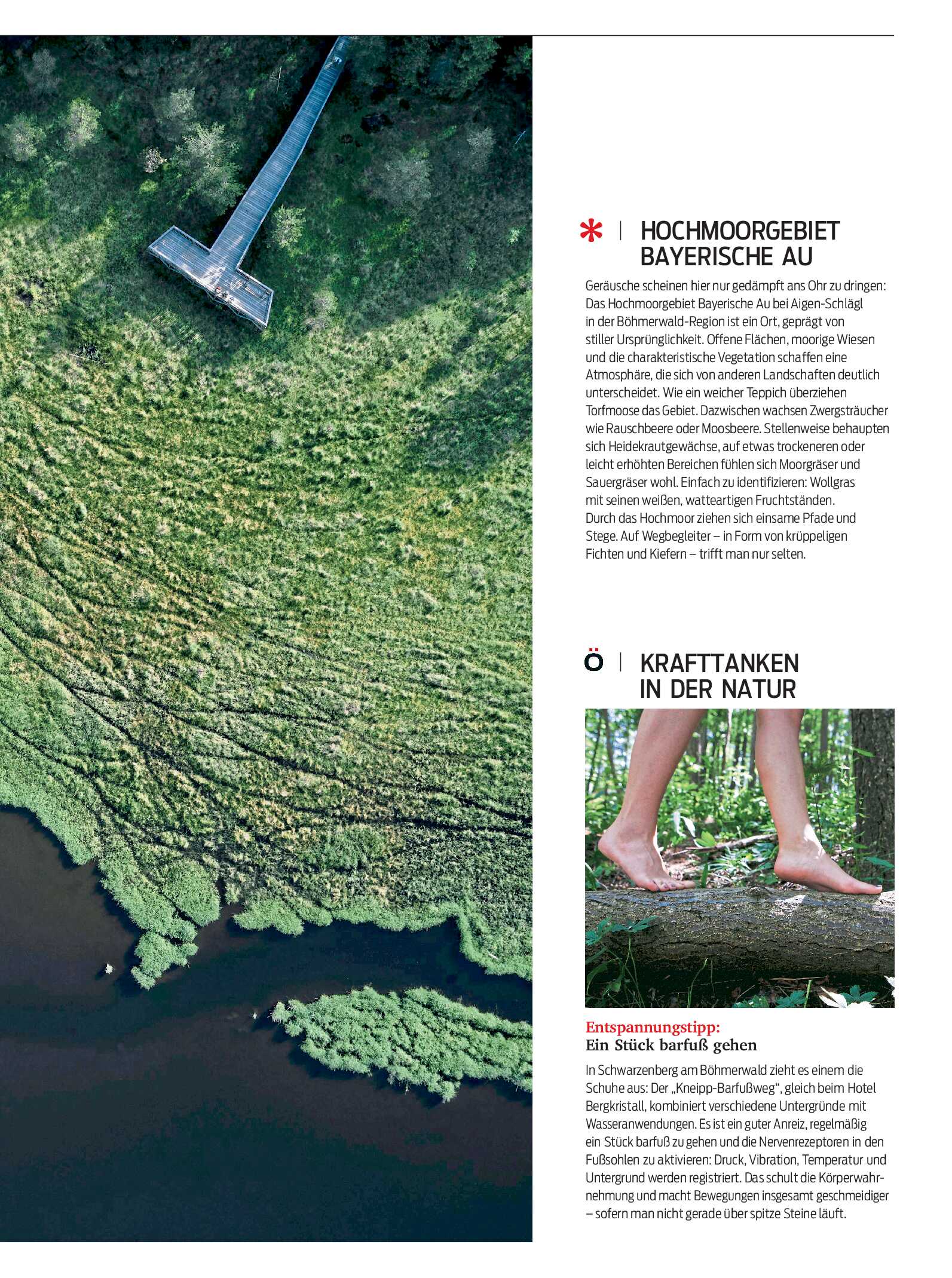 public/epaper/imported/20260513/kurier/magazin/magazin_20260513_069.jpg