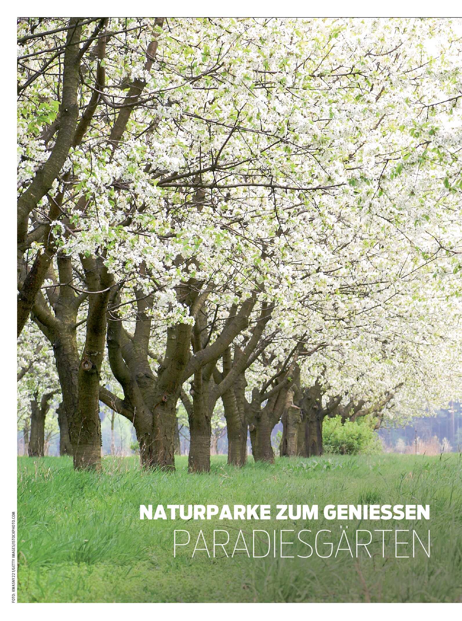 public/epaper/imported/20260513/kurier/magazin/magazin_20260513_070.jpg