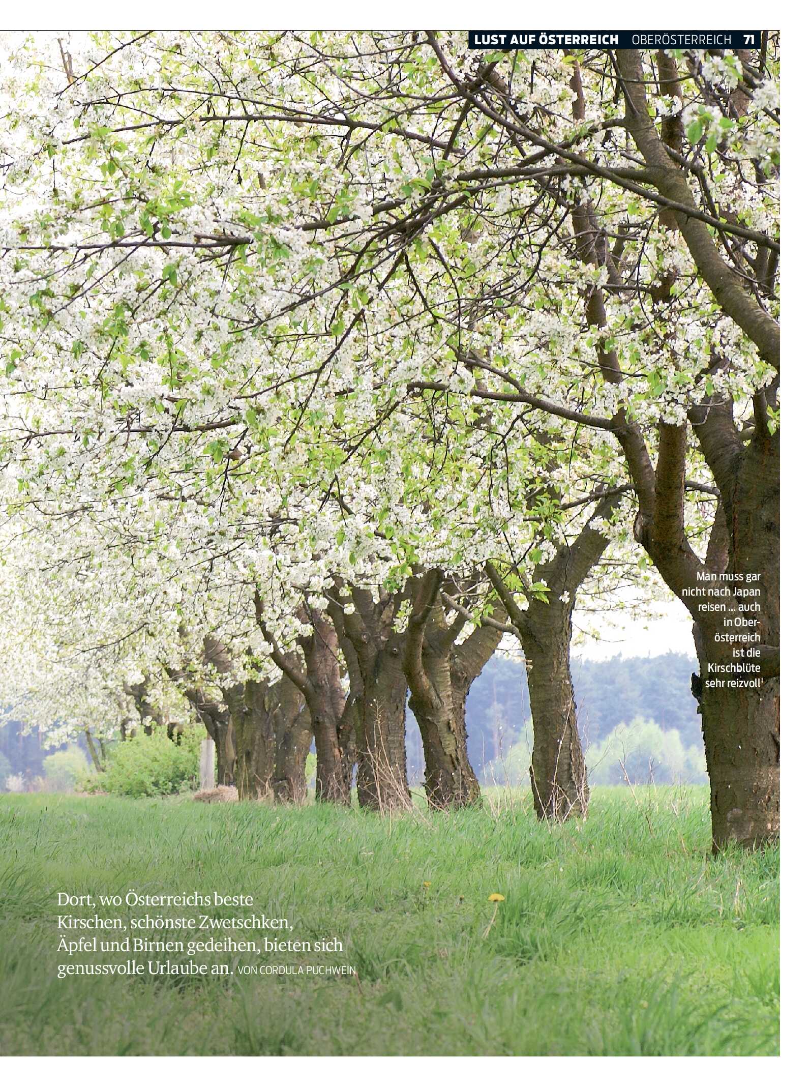 public/epaper/imported/20260513/kurier/magazin/magazin_20260513_071.jpg