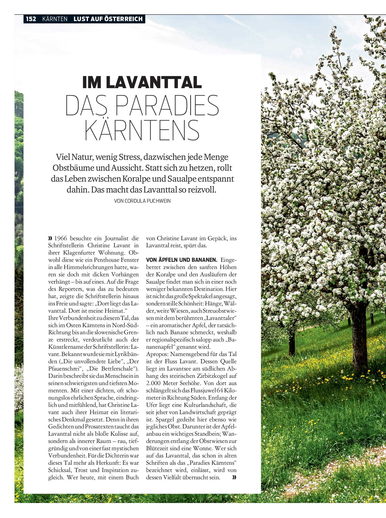 public/epaper/imported/20260513/kurier/magazin/magazin_20260513_152.jpg
