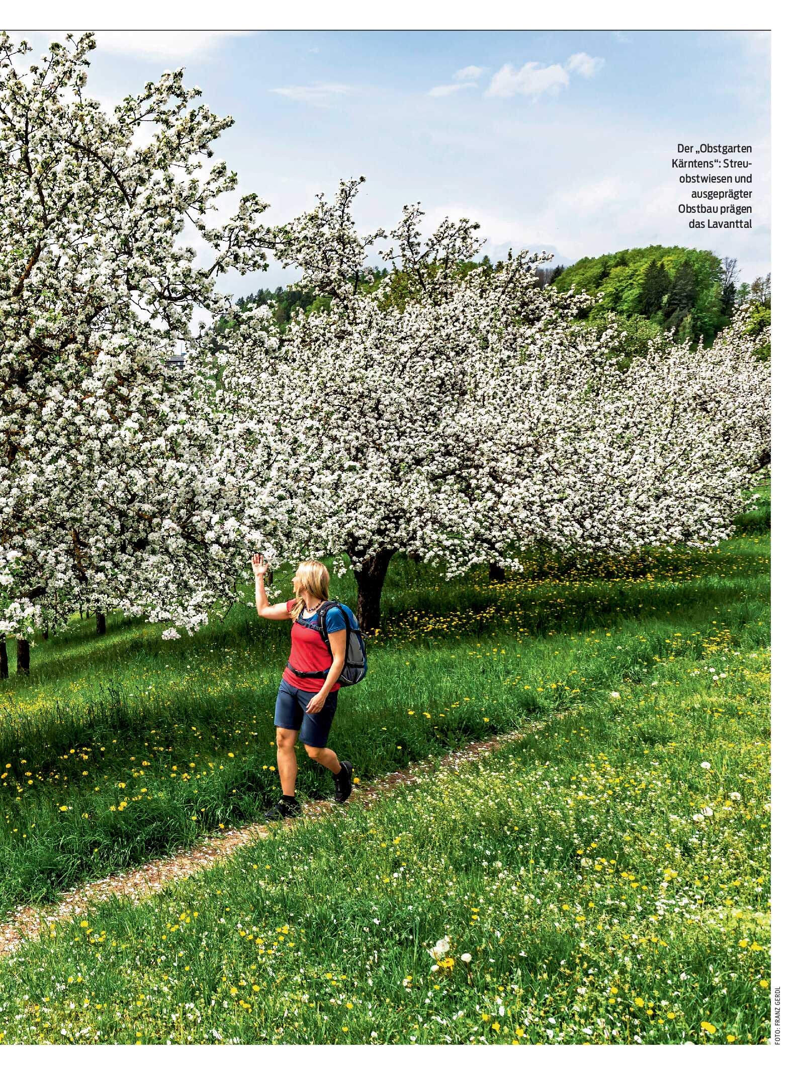 public/epaper/imported/20260513/kurier/magazin/magazin_20260513_153.jpg