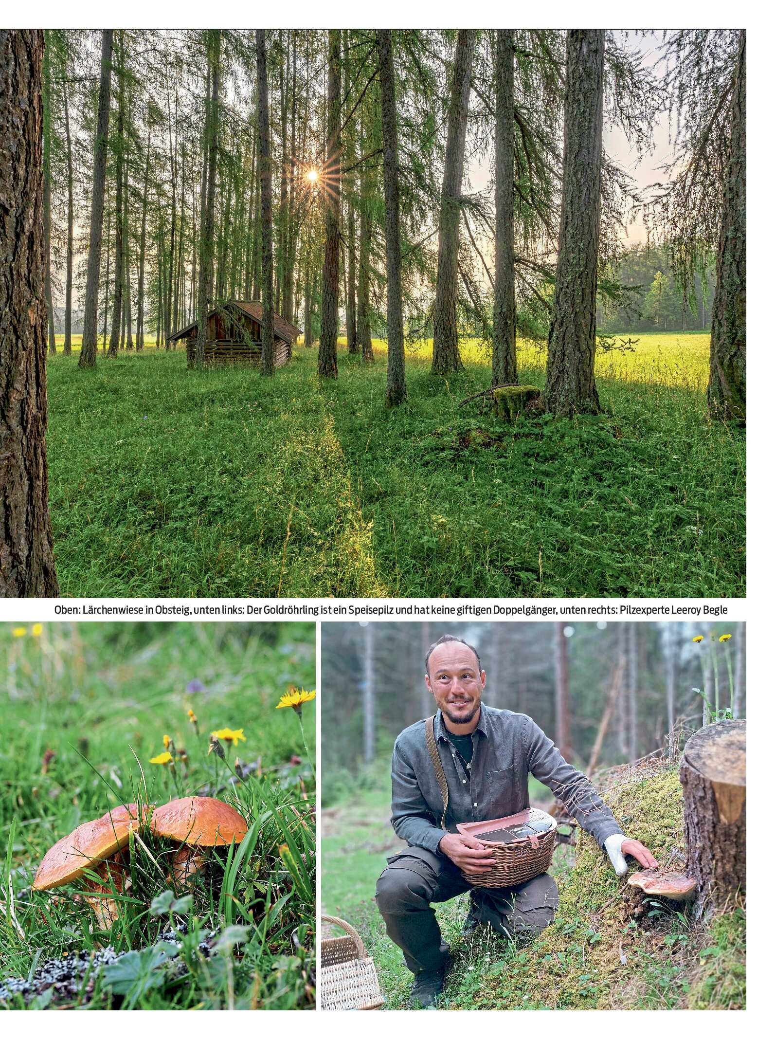 public/epaper/imported/20260513/kurier/magazin/magazin_20260513_179.jpg