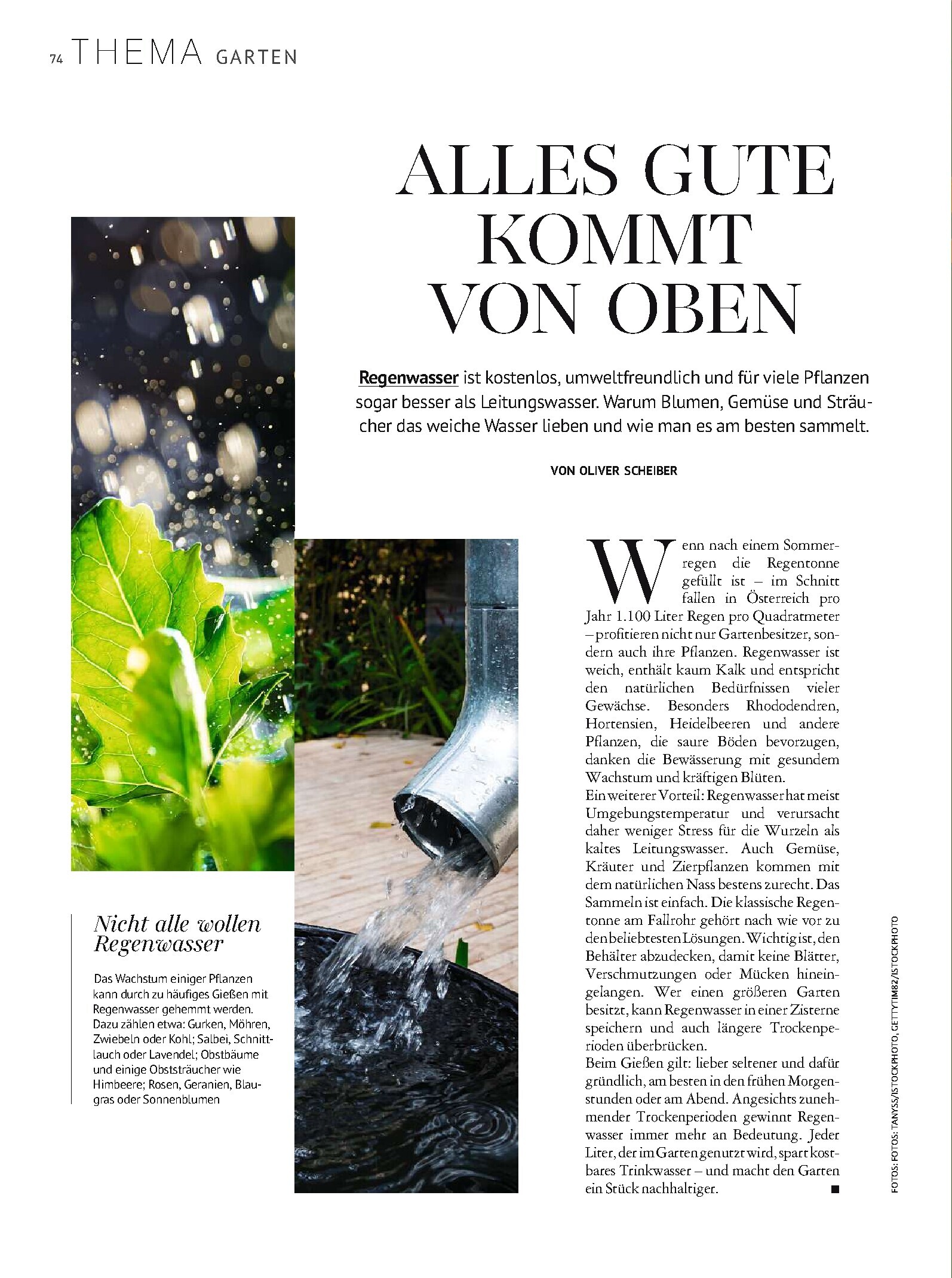 public/epaper/imported/20260613/kurier/freizeit/freizeit_20260613_074.jpg