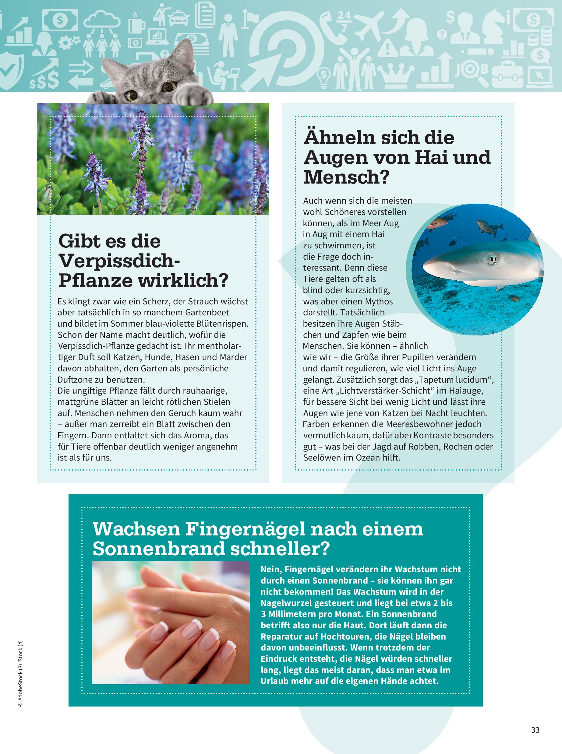public/epaper/imported/20260703/gesleb/gesleb/gesleb_20260703_033.jpg